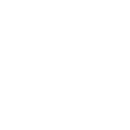 lock-and-key-icon